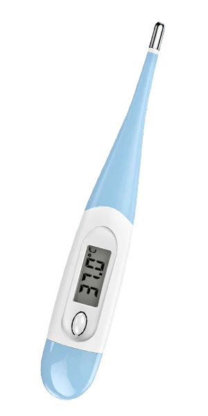 Digital Thermometer with LCD Display
