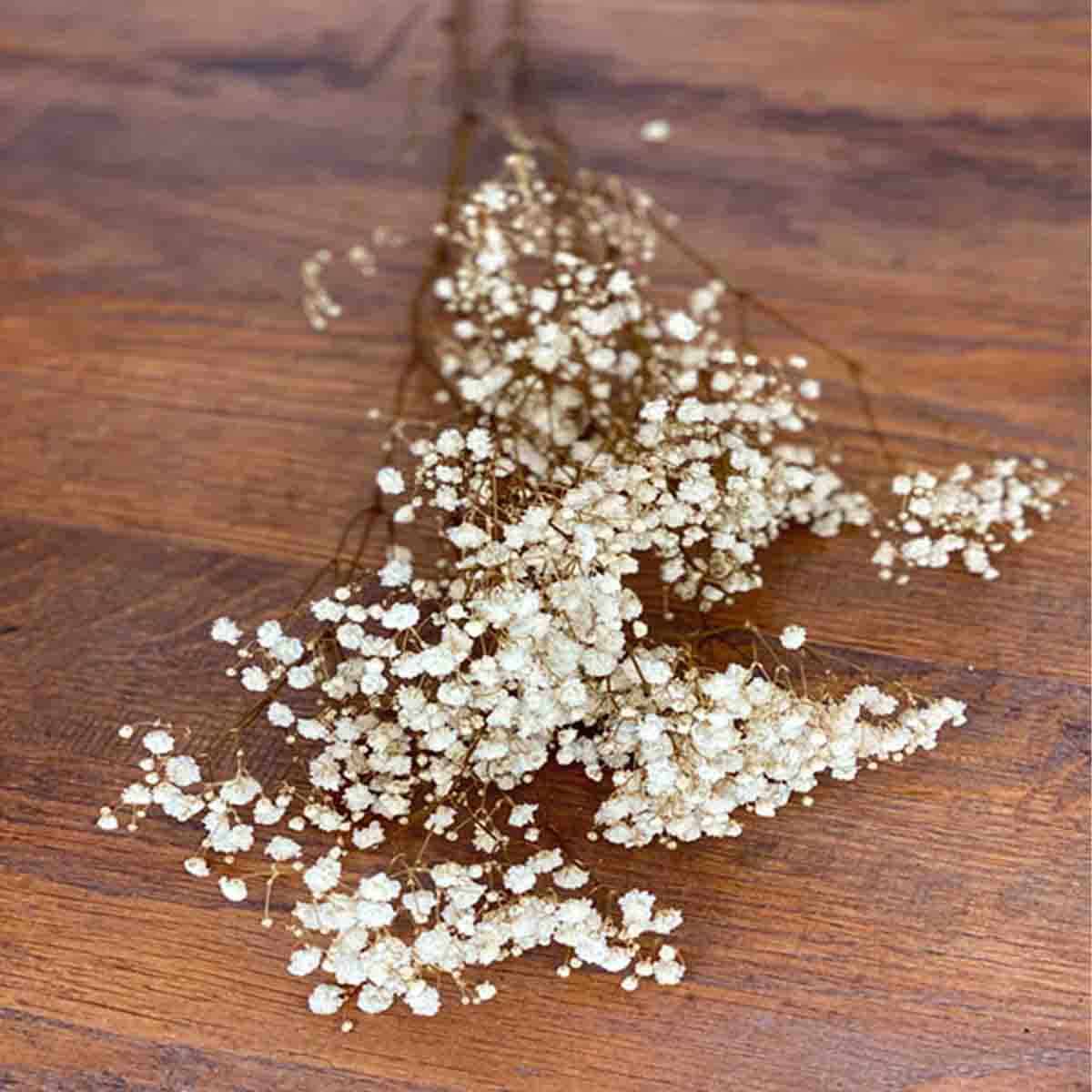 Dried Flower Bunch – Assorted Single Stems - Image 3