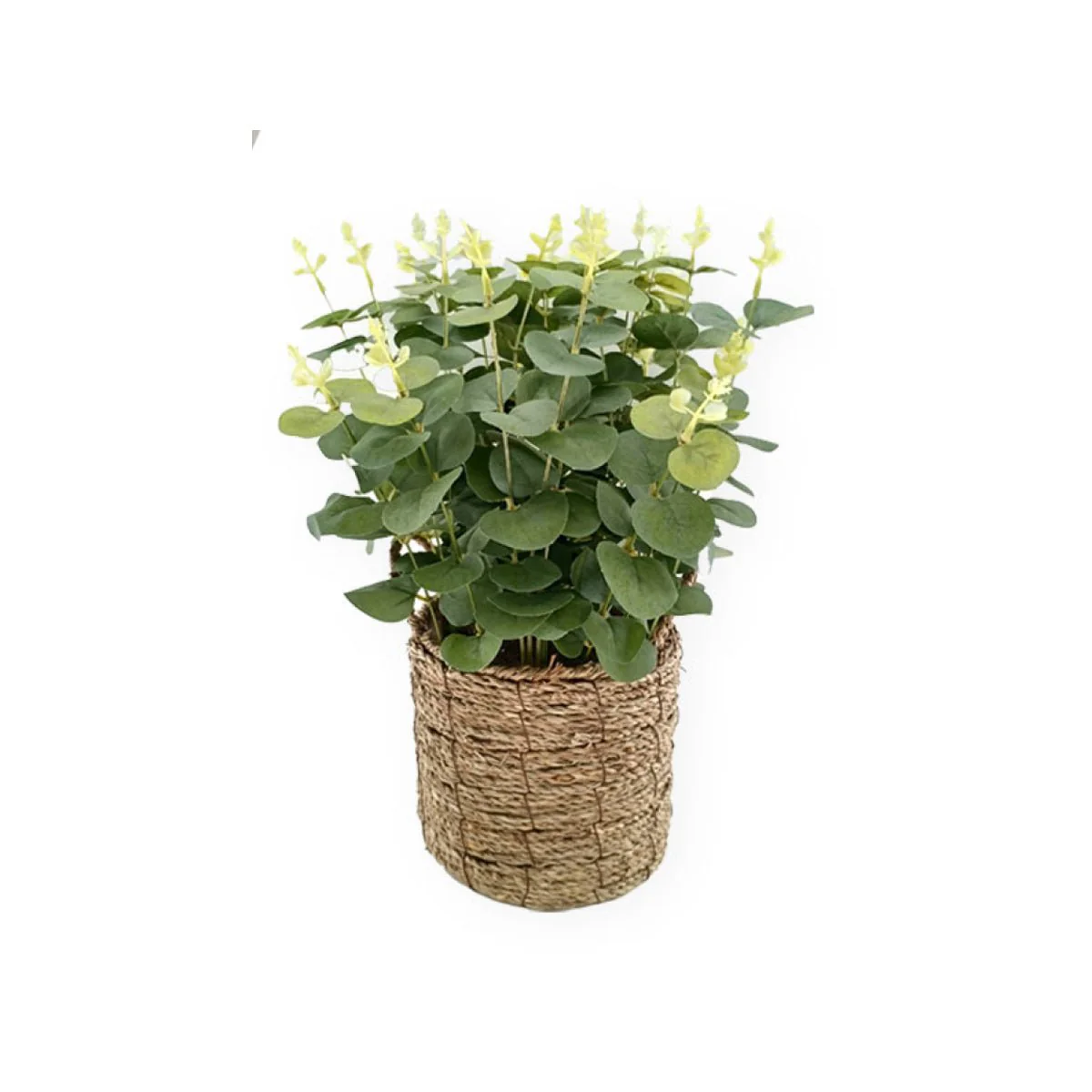 Eucalyptus Grass Basket - Image 2
