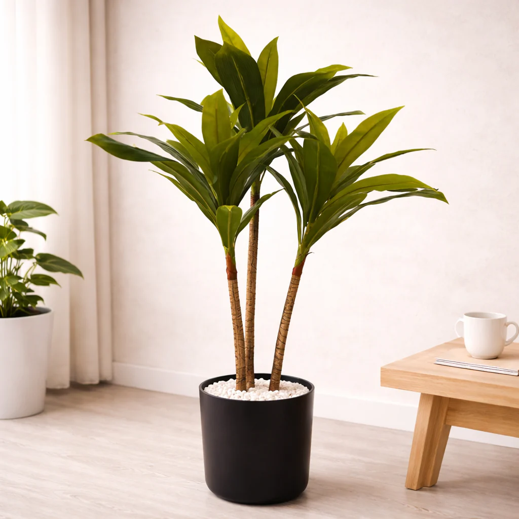 Lauren Taylor - Artificial Dracanea Tree in Black Pot