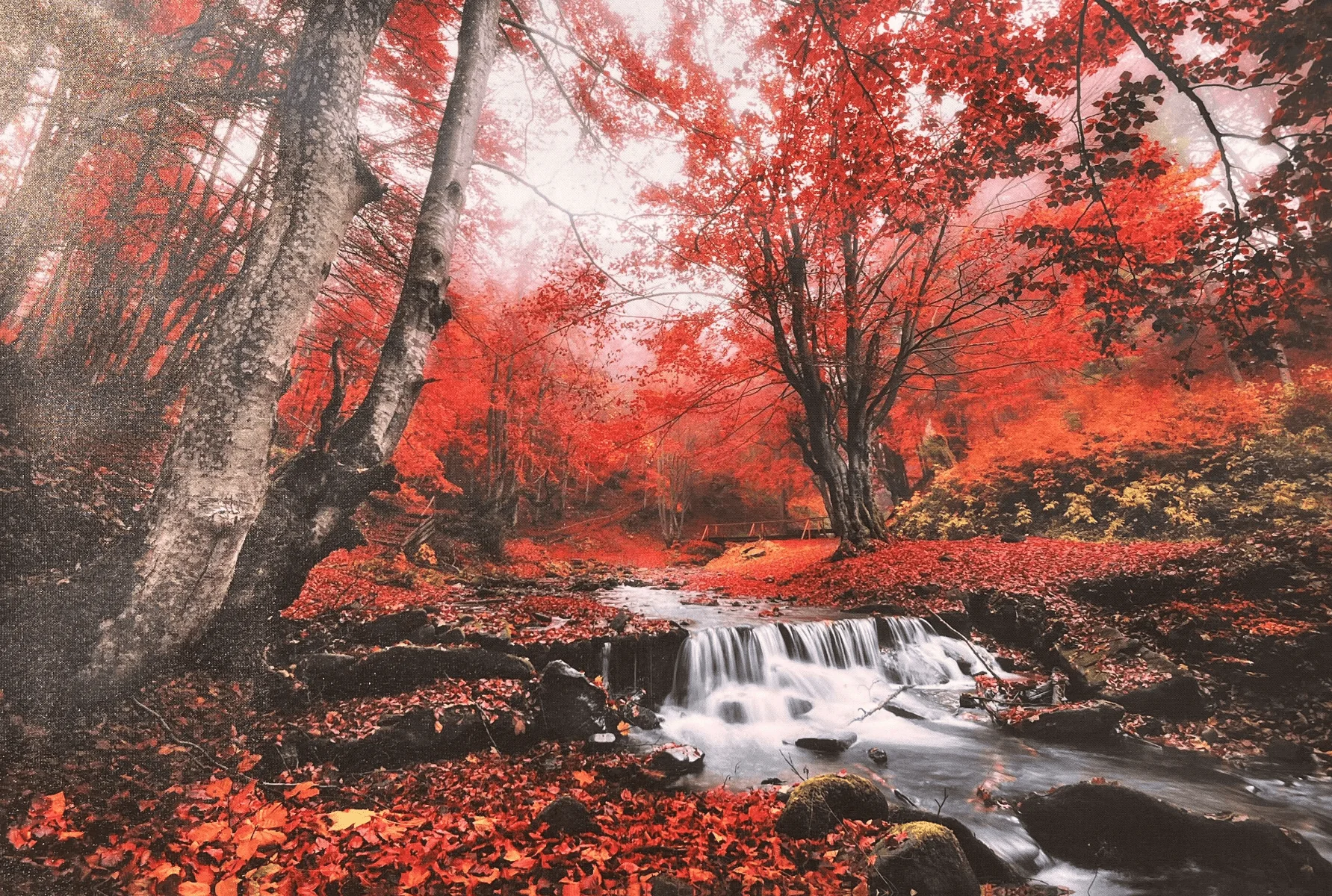 Lauren Taylor - Autumn Scene Water Printed Canvas - Image 5