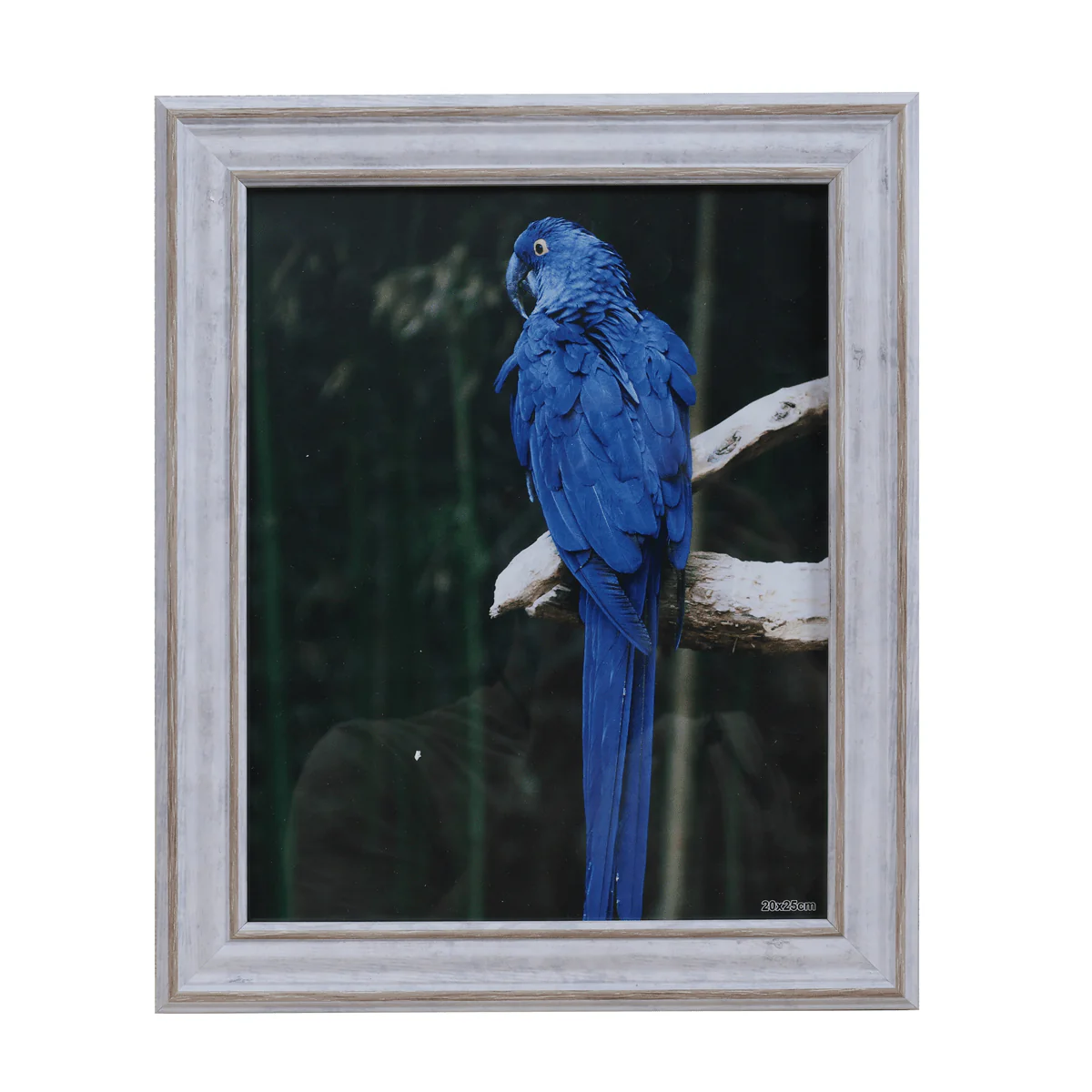 LAUREN TAYLOR- Photo Frame White Wash Look - Image 4
