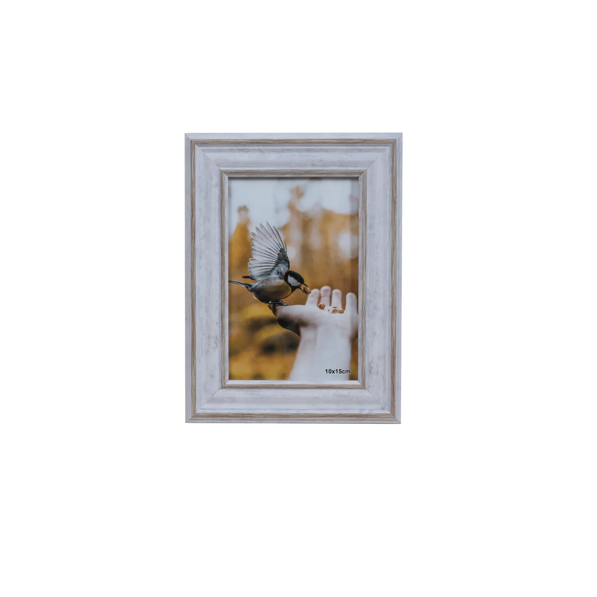 LAUREN TAYLOR- Photo Frame White Wash Look - Image 5