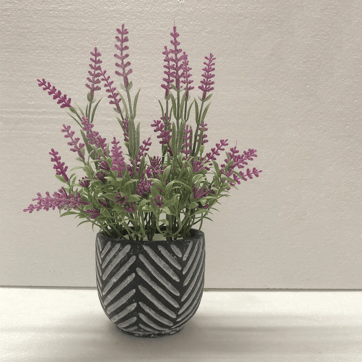 Lavender In Black/grey Cement Pot 16*24 - Image 3