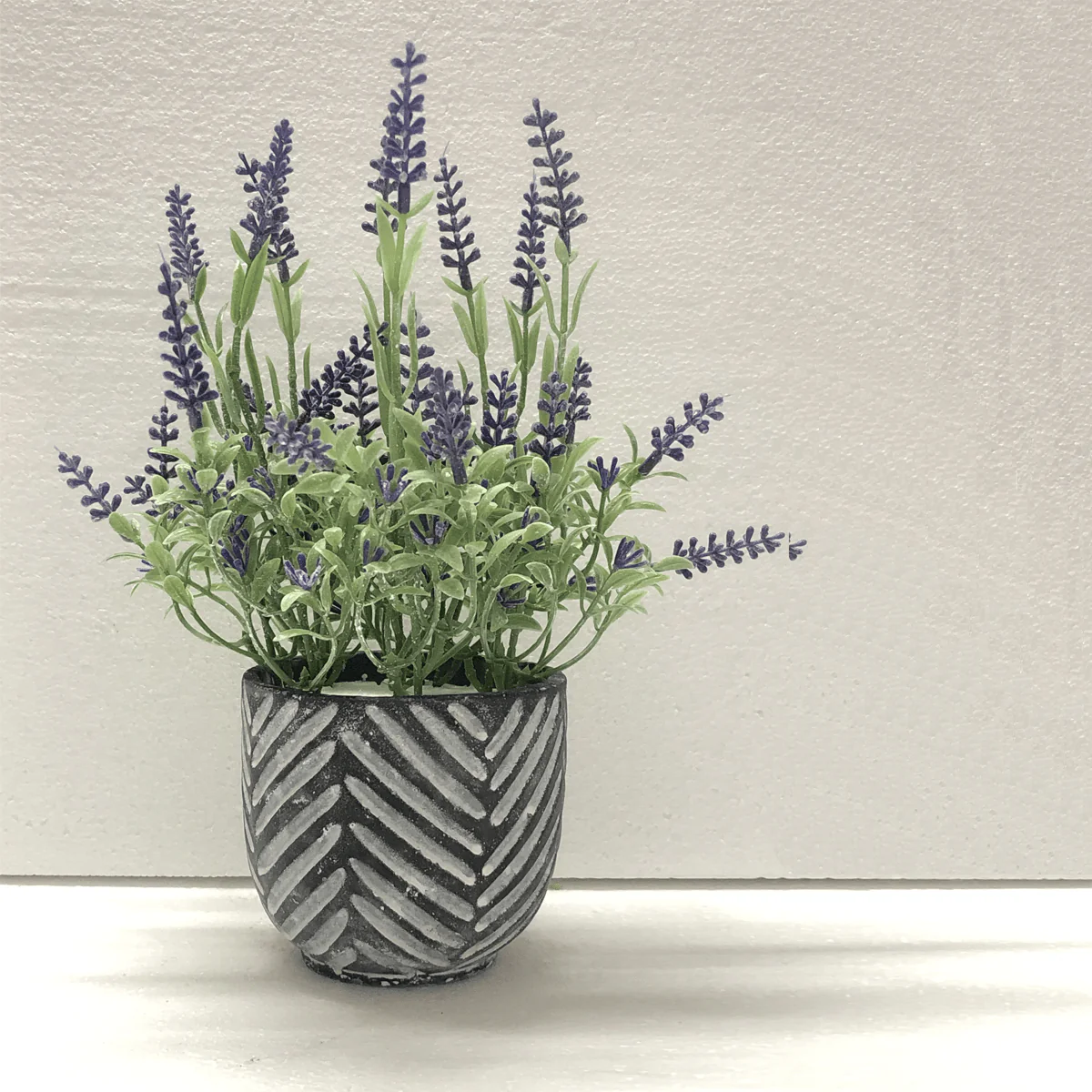 Lavender In Black/grey Cement Pot 16*24 - Image 4