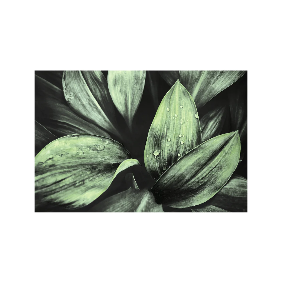 Leaf greenery Canvas - Image 2