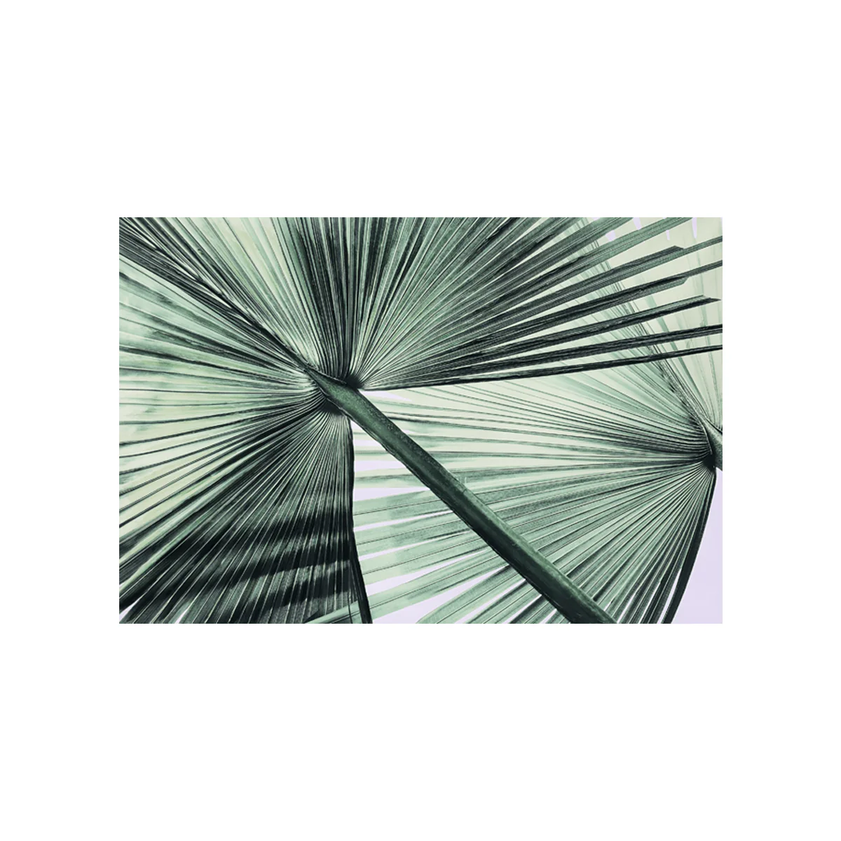 Leaf greenery Canvas - Image 3