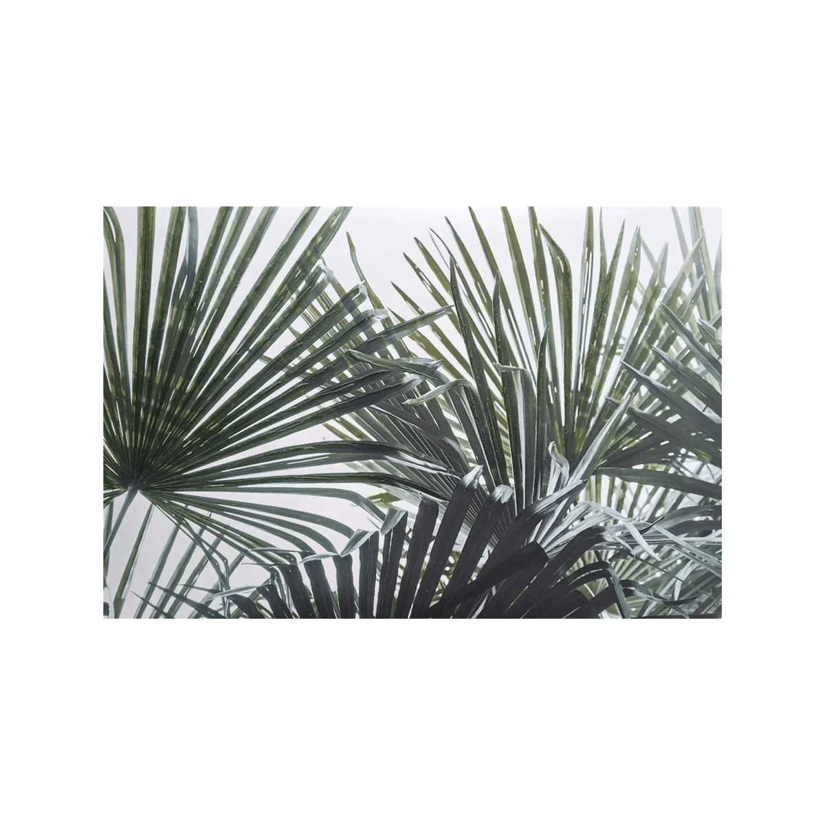 Leaf greenery Canvas - Image 4