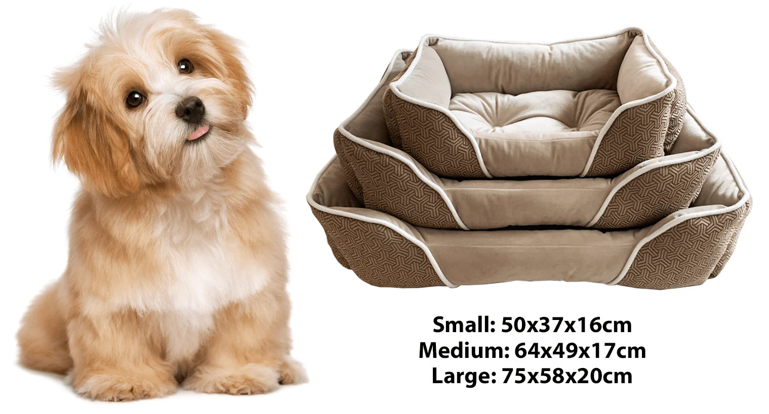 Paws & Whiskers - Pet Bed - Image 2