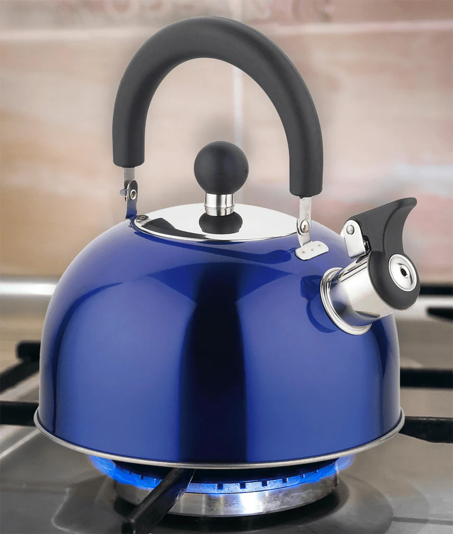 ROB - Stainless Steel Whistling Kettle Metallic Color - Image 2