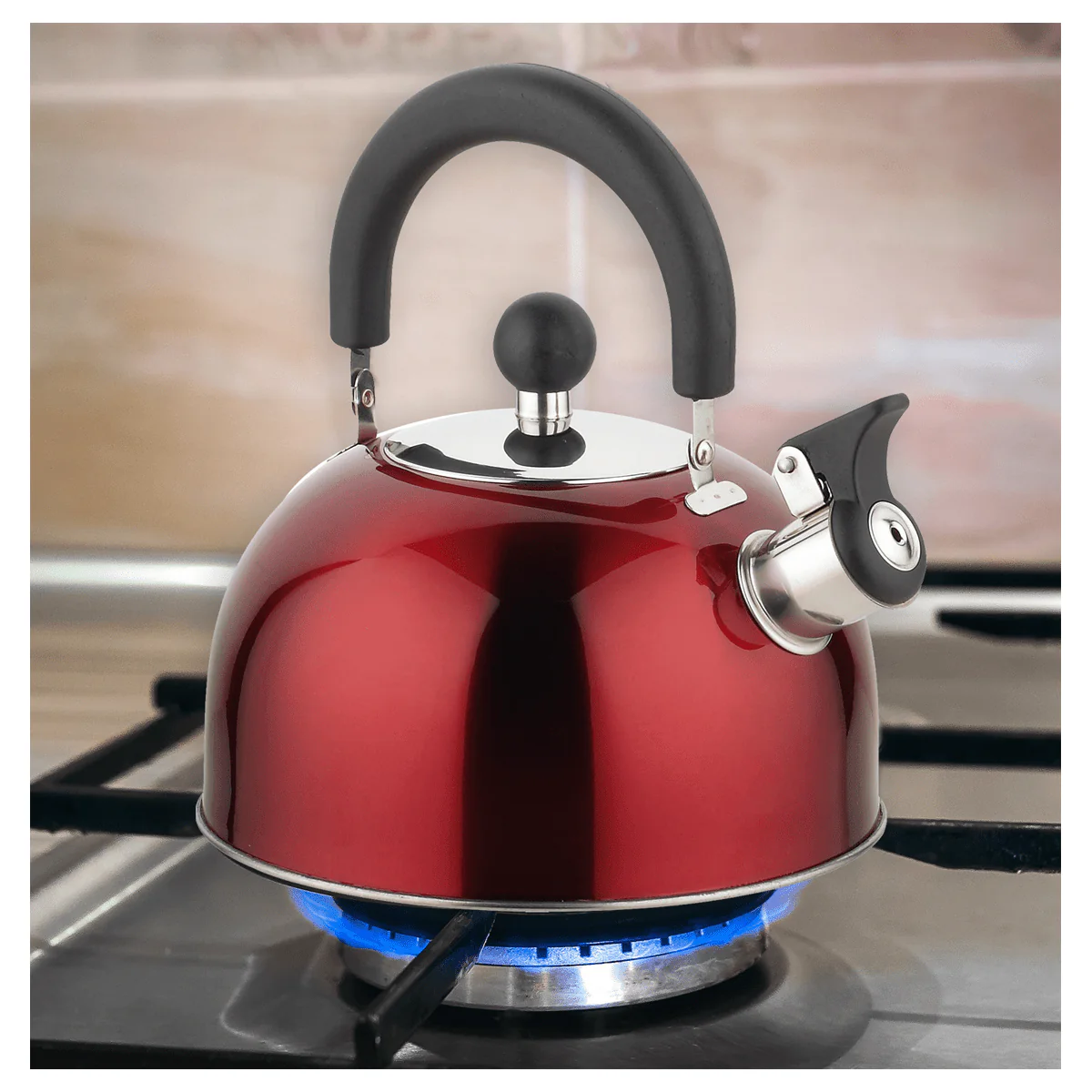 ROB - Stainless Steel Whistling Kettle Metallic Color - Image 4