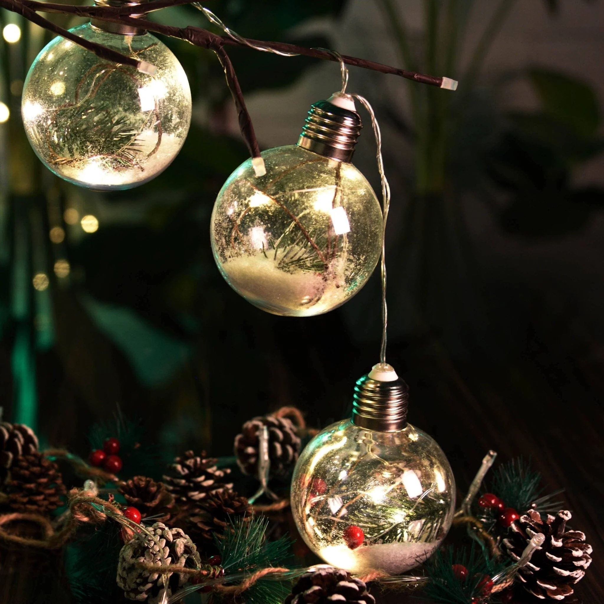 String Light Bulbs | Pine Branch