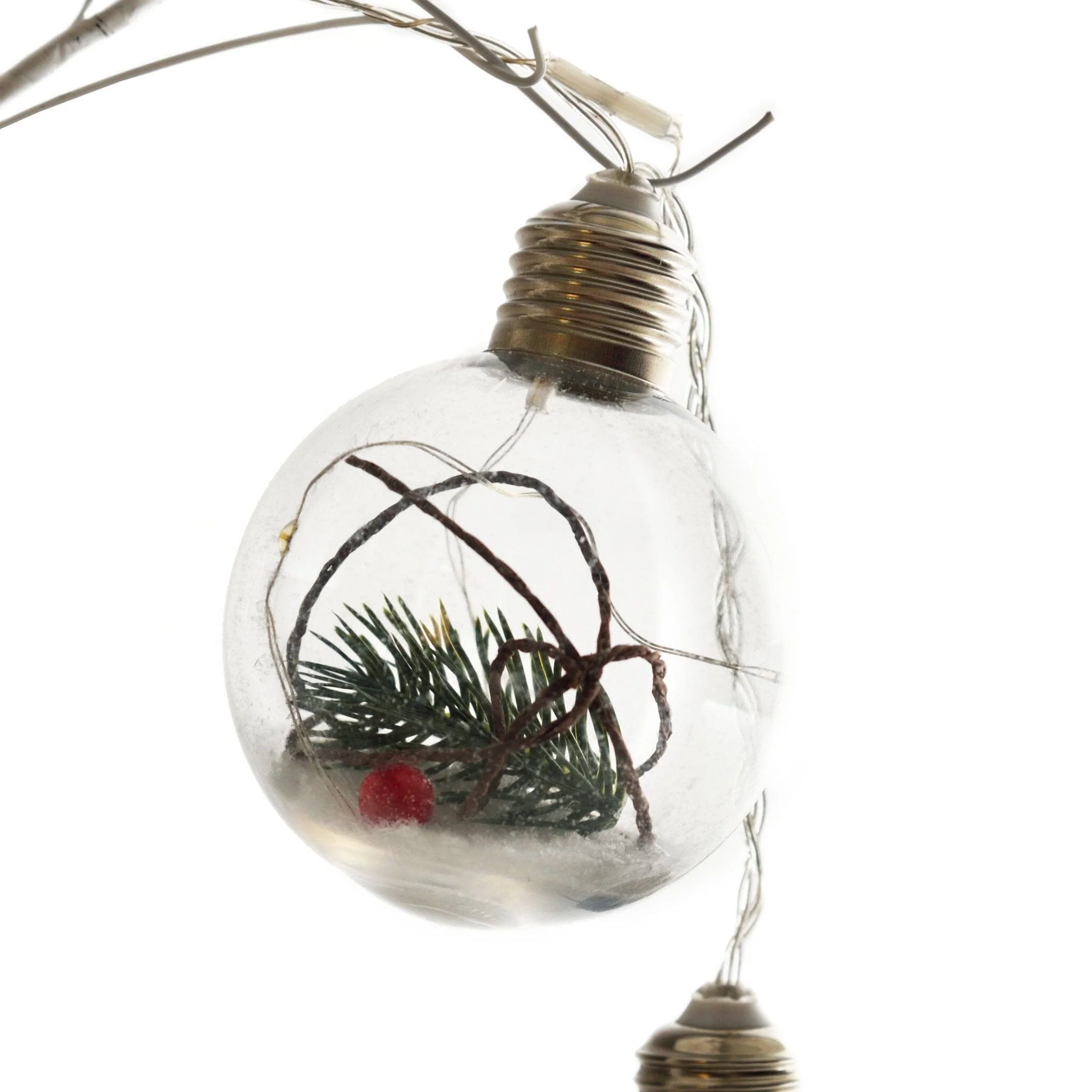 String Light Bulbs | Pine Branch - Image 3