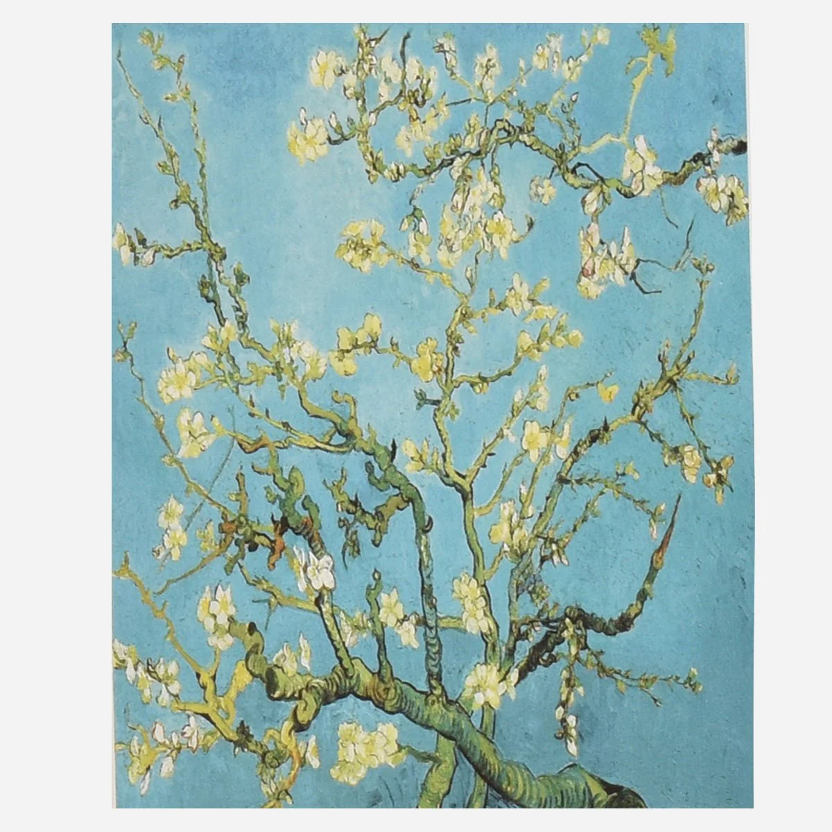 Van Gogh Fashion Scarves - Image 9