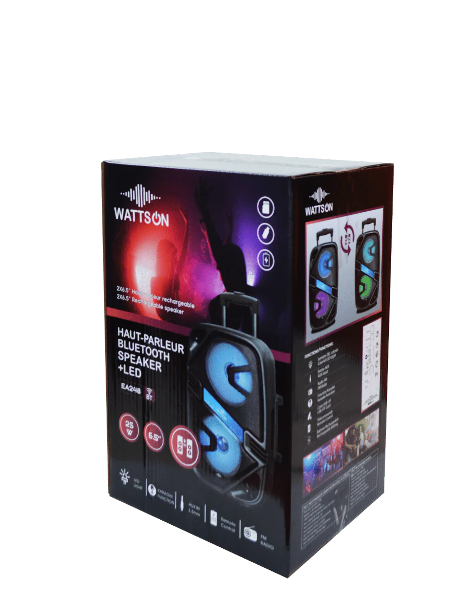 WATTSON- Speaker 2x6.5in 25w BT/FM/SD/AUX/MIC - Image 2