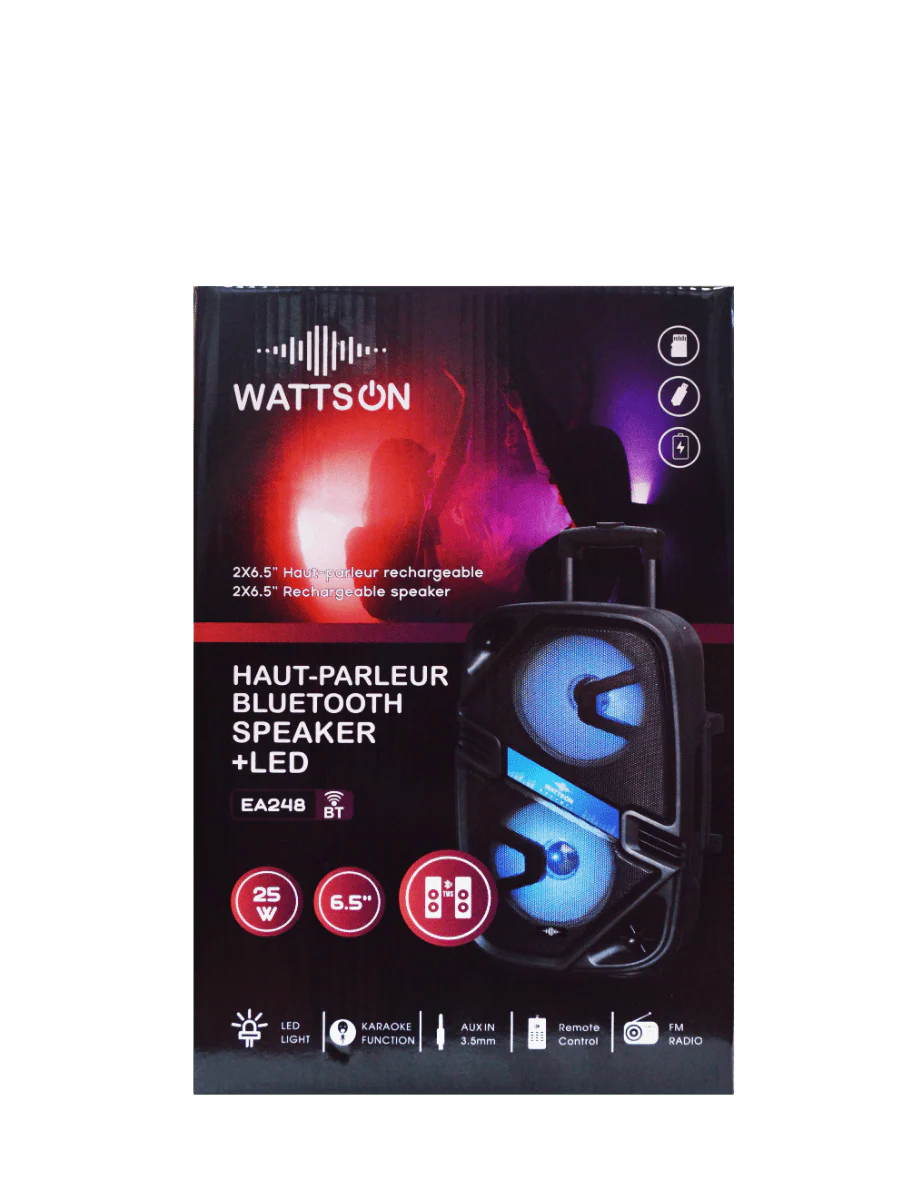 WATTSON- Speaker 2x6.5in 25w BT/FM/SD/AUX/MIC - Image 3